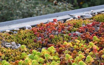 the cost of Durlow Common green roof installation