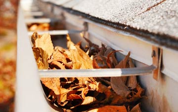 Durlow Common gutter cleaning companies