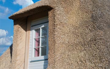 Durlow Common thatch roof disadvantages