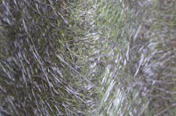 Durlow Common fibreglass roof work